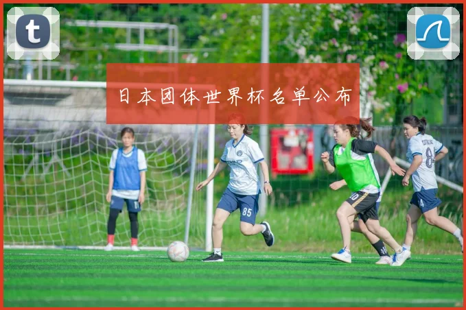 日本团体世界杯名单公布