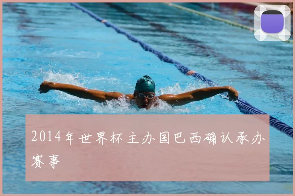 2014年世界杯主办国巴西确认承办赛事