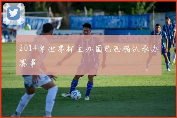 2014年世界杯主办国巴西确认承办赛事
