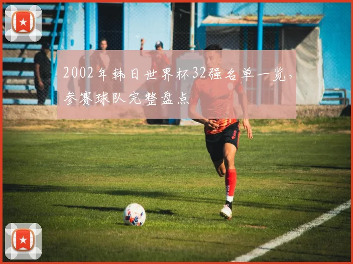 2002年韩日世界杯32强名单一览,参赛球队完整盘点