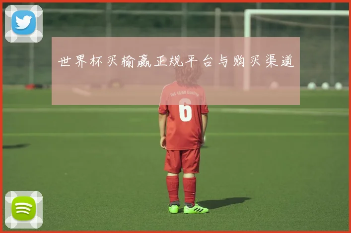 世界杯买输赢正规平台与购买渠道
