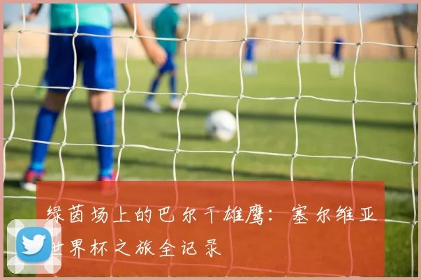 绿茵场上的巴尔干雄鹰：塞尔维亚世界杯之旅全记录