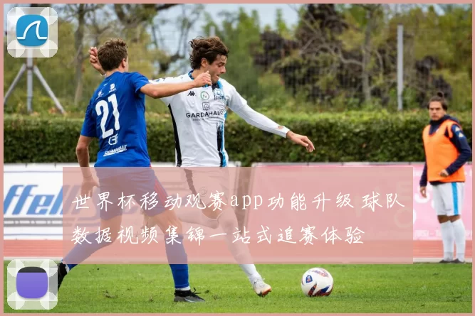 世界杯移动观赛app功能升级 球队数据视频集锦一站式追赛体验