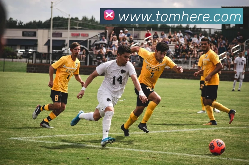 App Interface Preview